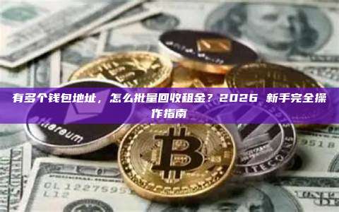 有多个钱包地址，怎么批量回收租金？2026 新手完全操作指南