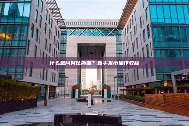 什么是阿努比斯链？新手发币操作教程